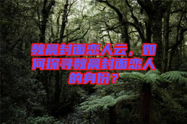 魏晨封面戀人云，如何探尋魏晨封面戀人的身份？
