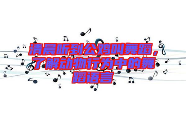 清晨聽到公雞叫舞蹈，了解動物行為中的舞蹈語言