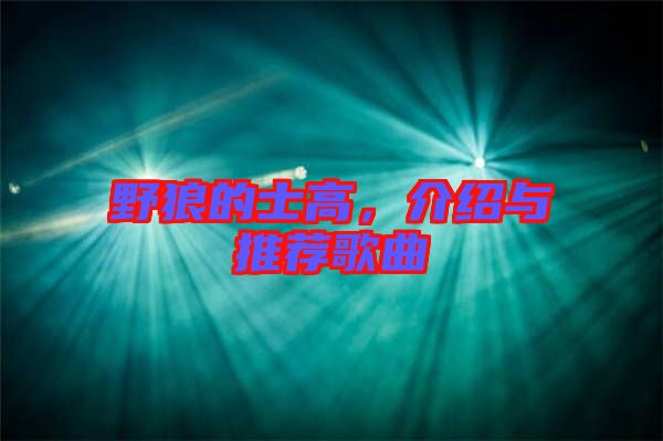 野狼的士高，介紹與推薦歌曲