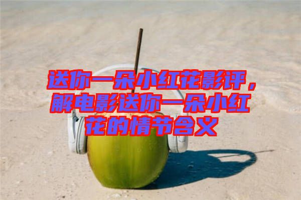 送你一朵小紅花影評(píng)，解電影送你一朵小紅花的情節(jié)含義