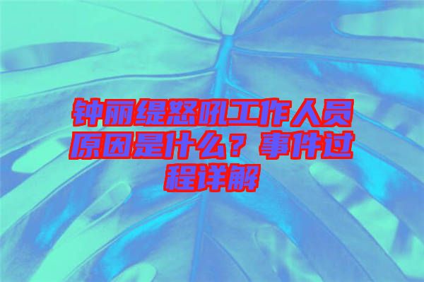 鐘麗緹怒吼工作人員原因是什么？事件過程詳解