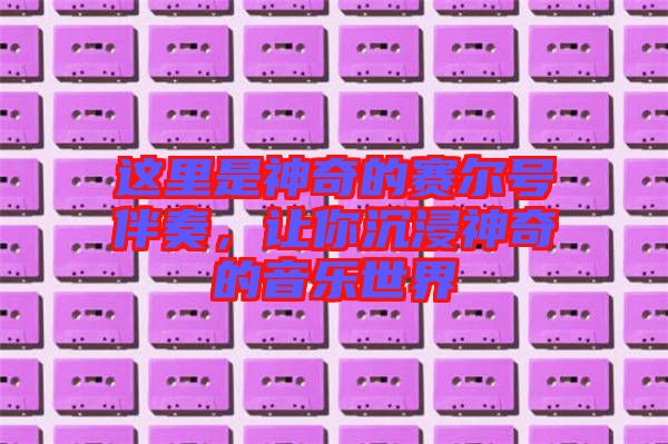 這里是神奇的賽爾號伴奏，讓你沉浸神奇的音樂世界