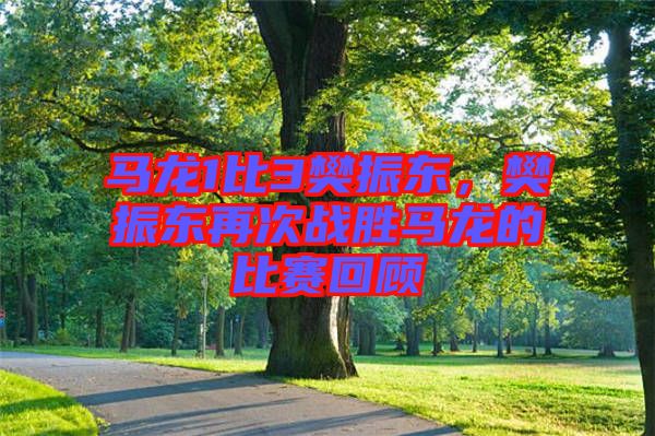 馬龍1比3樊振東，樊振東再次戰(zhàn)勝馬龍的比賽回顧