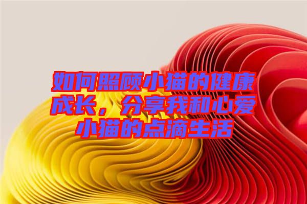 如何照顧小貓的健康成長，分享我和心愛小貓的點滴生活