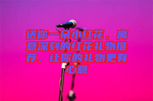 送你一朵小紅花，寓意深刻的紅花禮物推薦，讓你的禮物更有心意