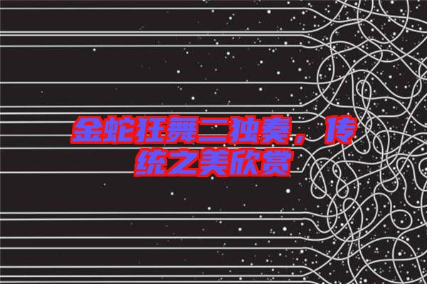 金蛇狂舞二獨奏，傳統(tǒng)之美欣賞