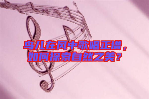 鳥兒在風(fēng)中歌唱正譜，如何探索自然之美？