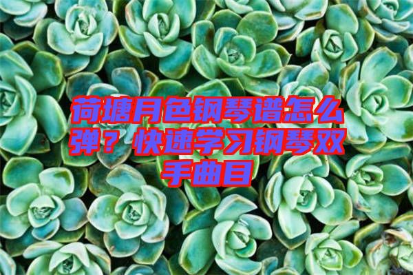 荷塘月色鋼琴譜怎么彈？快速學(xué)習(xí)鋼琴雙手曲目