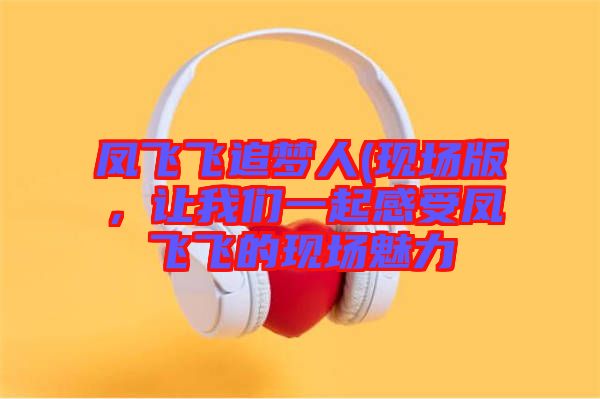 鳳飛飛追夢人(現(xiàn)場版，讓我們一起感受鳳飛飛的現(xiàn)場魅力