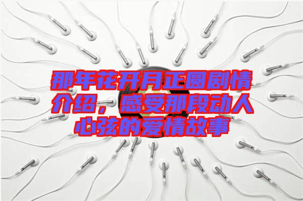 那年花開(kāi)月正圓劇情介紹，感受那段動(dòng)人心弦的愛(ài)情故事