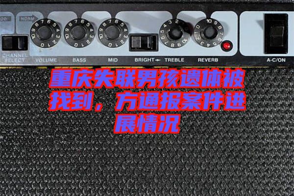 重慶失聯(lián)男孩遺體被找到，方通報案件進展情況