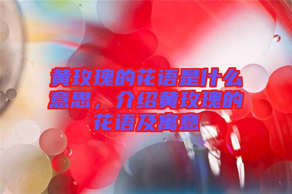 黃玫瑰的花語是什么意思，介紹黃玫瑰的花語及寓意