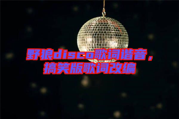 野狼disco歌詞諧音，搞笑版歌詞改編