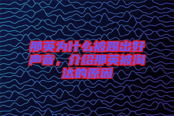 那英為什么被踢出好聲音，介紹那英被淘汰的原因