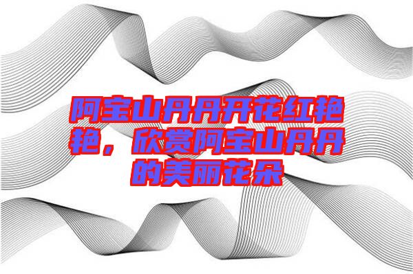 阿寶山丹丹開花紅艷艷，欣賞阿寶山丹丹的美麗花朵