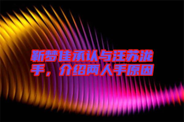 靳夢佳承認(rèn)與汪蘇瀧手，介紹兩人手原因