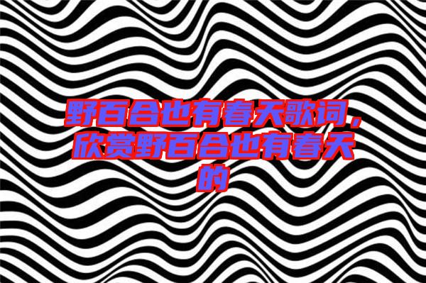 野百合也有春天歌詞，欣賞野百合也有春天的