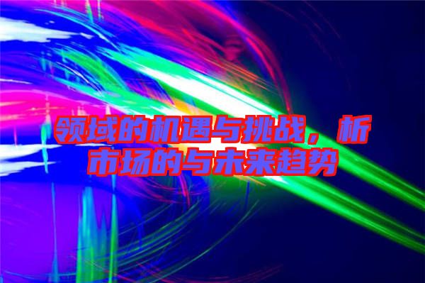 領(lǐng)域的機(jī)遇與挑戰(zhàn)，析市場的與未來趨勢